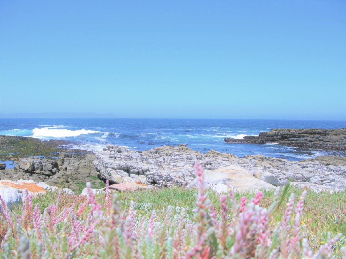 Beachfront House - Hermanus Whale View Villa Exterior photo