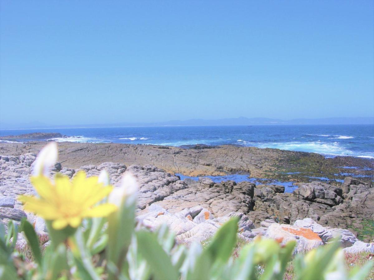 Beachfront House - Hermanus Whale View Villa Exterior photo