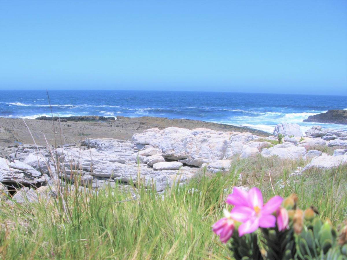 Beachfront House - Hermanus Whale View Villa Exterior photo