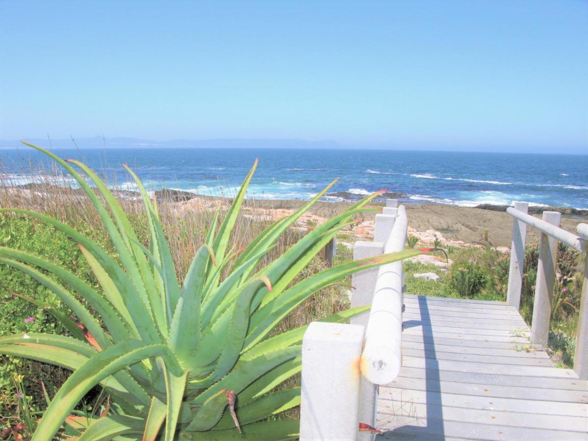 Beachfront House - Hermanus Whale View Villa Exterior photo