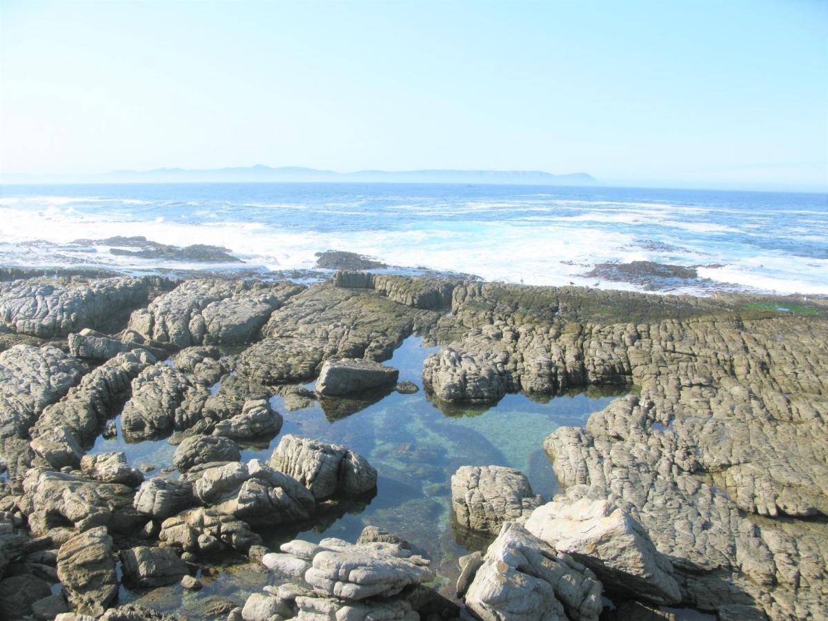 Beachfront House - Hermanus Whale View Villa Exterior photo