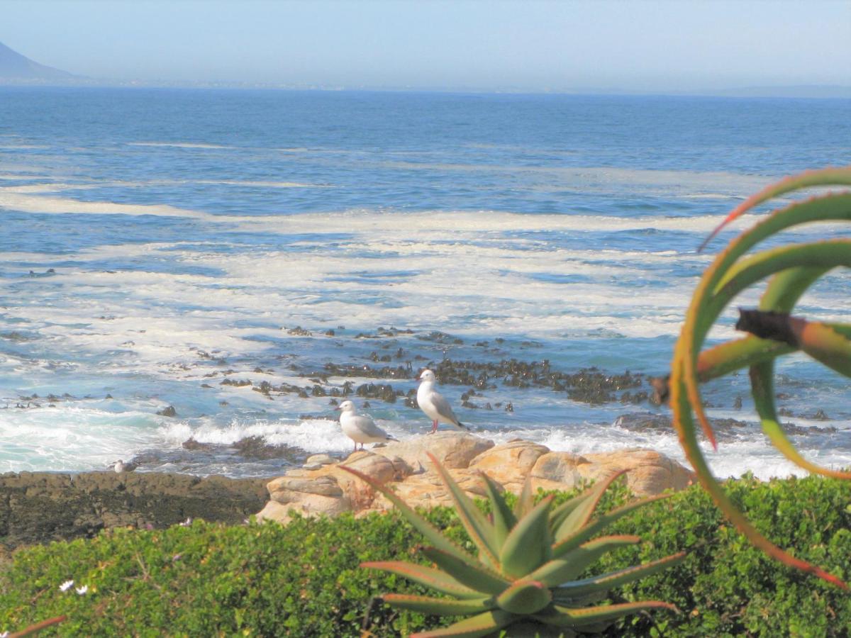 Beachfront House - Hermanus Whale View Villa Exterior photo