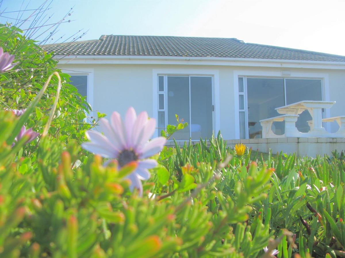 Beachfront House - Hermanus Whale View Villa Exterior photo